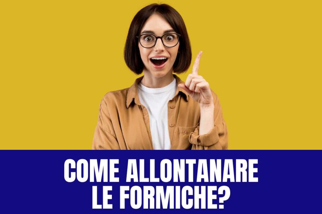 Come allontanare le formiche da casa